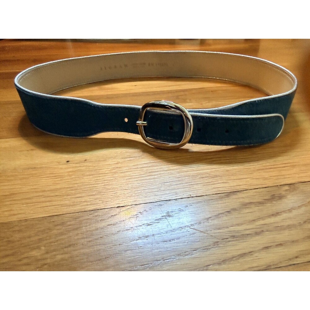 Teal Suede Leather Belt Silver Buckle Minimal Chic Large